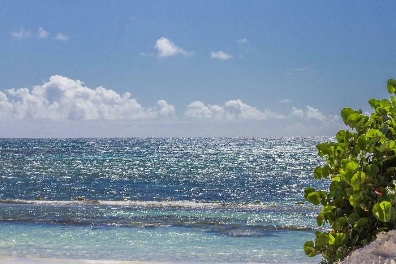 Villa Morene Sainte-Anne   Sainte-Anne (Grande-Terre)